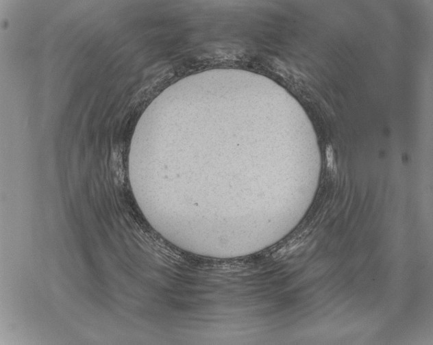 X0000069391203200606021623