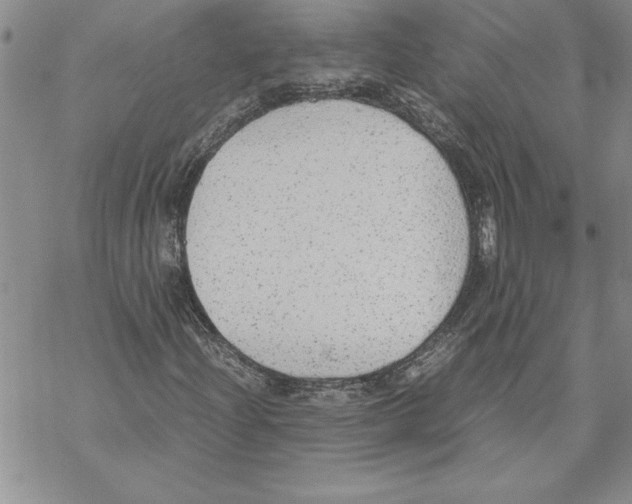 X0000069391204200606021623