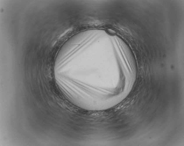 X0000069391205200606021623