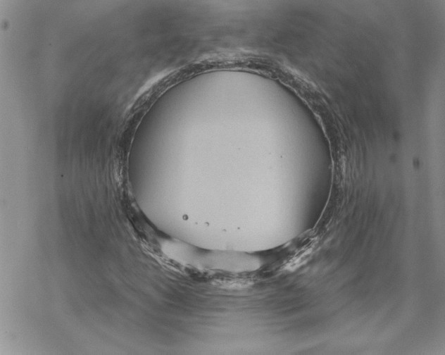 X0000069391206200606021623