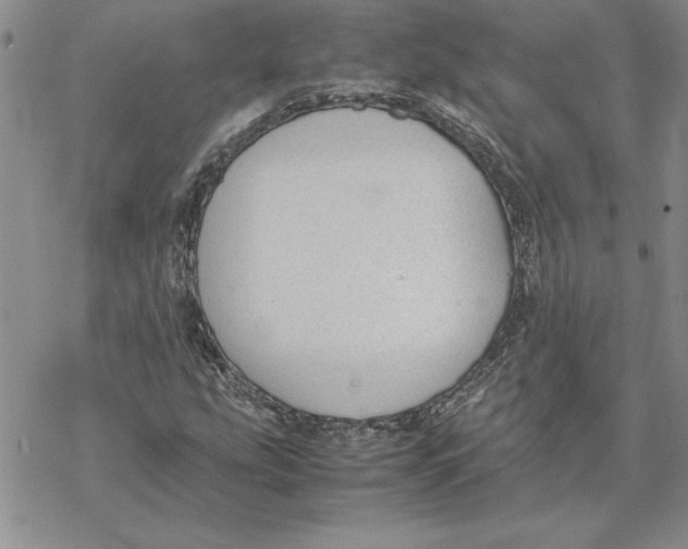 X0000069391207200606021623