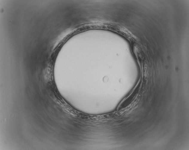 X0000069391208200606021623