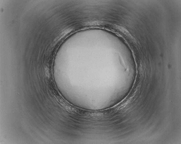 X0000069391209200606021623