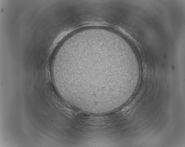 X0000069391215200606021623