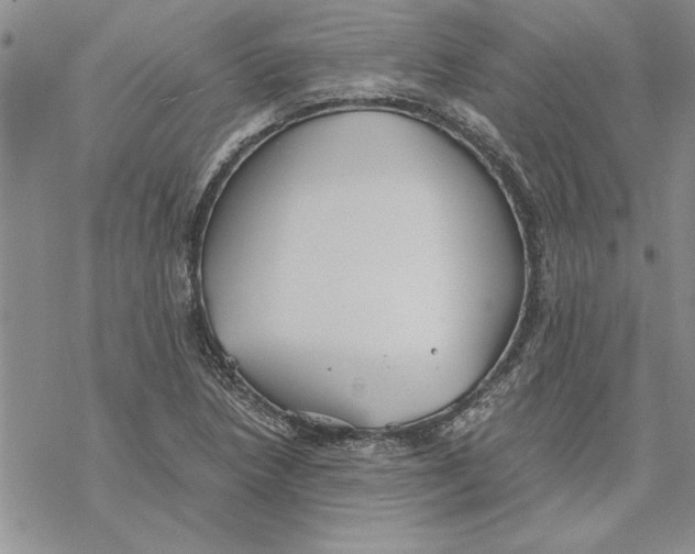 X0000069391218200606021623