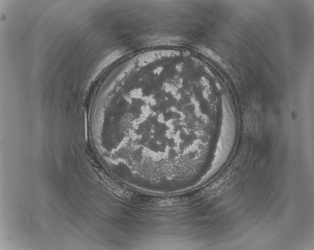 X0000069391219200606021623