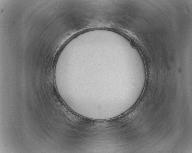 X0000069391220200606021623