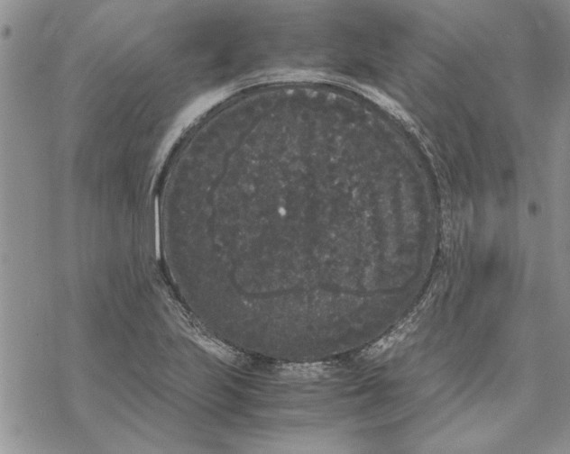 X0000069391223200606021623