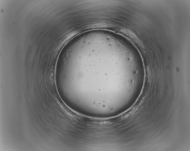 X0000069391225200606021623