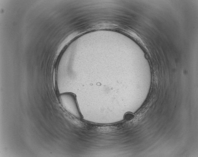 X0000069391227200606021623