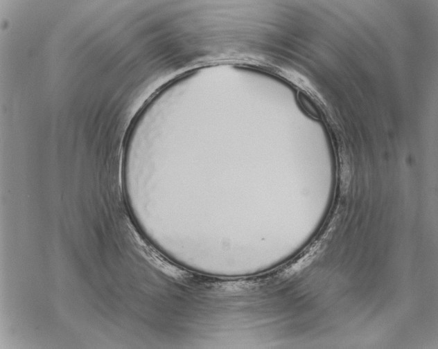 X0000069391228200606021623