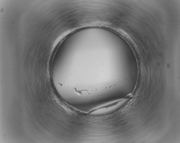 X0000069391230200606021623