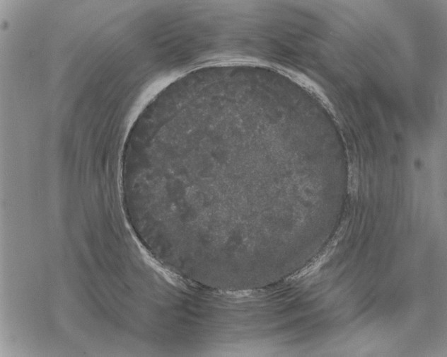 X0000069391231200606021624