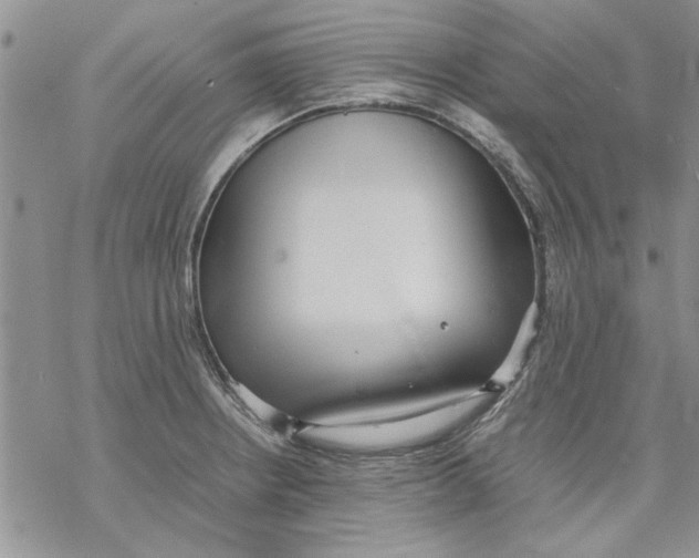 X0000069391234200606021624