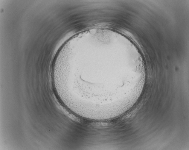 X0000069391235200606021624