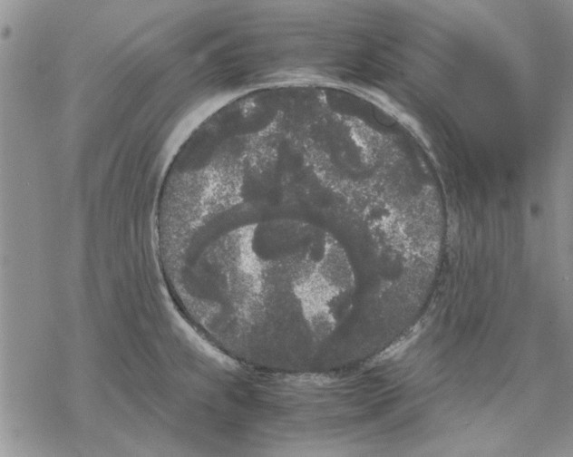 X0000069391239200606021624