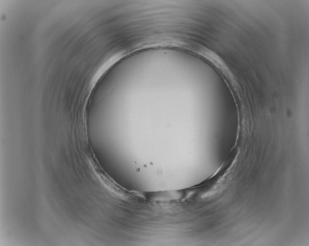 X0000069391242200606021624