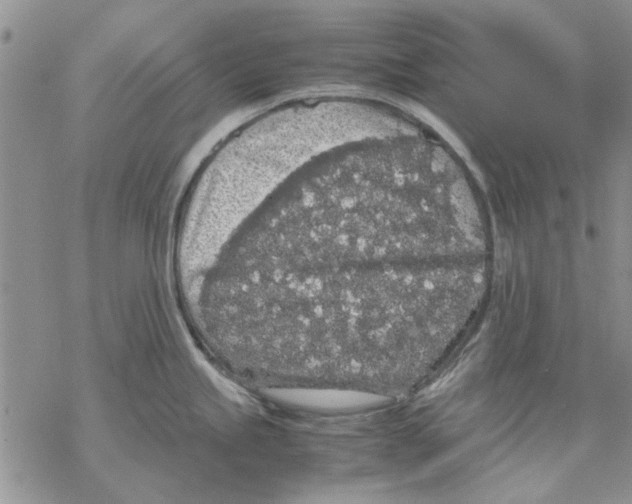 X0000069391245200606021624