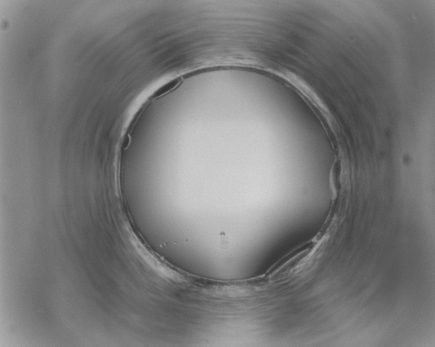 X0000069391246200606021624