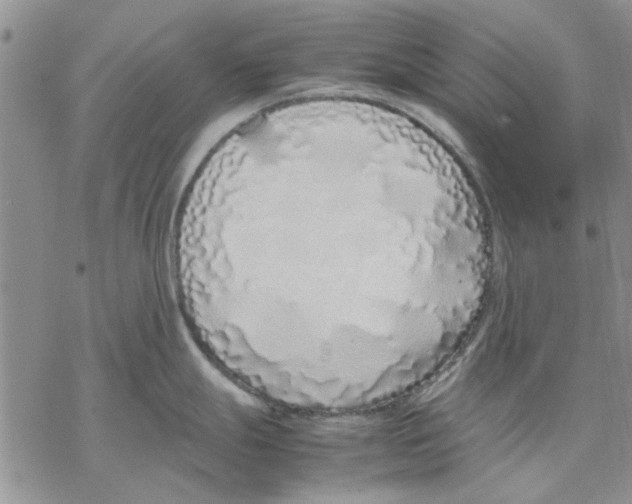 X0000069391247200606021624