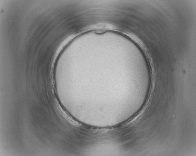 X0000069391248200606021624