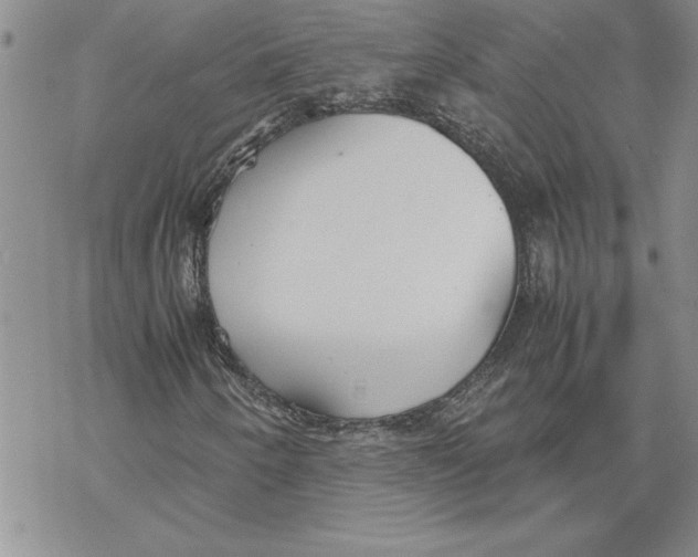 X0000069391250200606021623