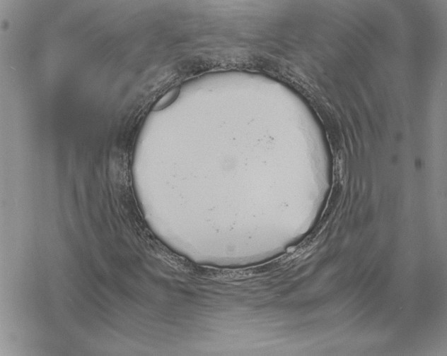 X0000069391251200606021623