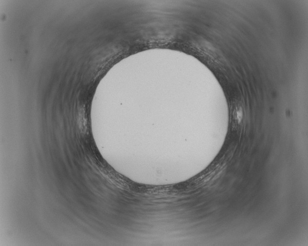 X0000069391252200606021623