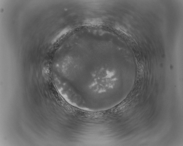 X0000069391254200606021623