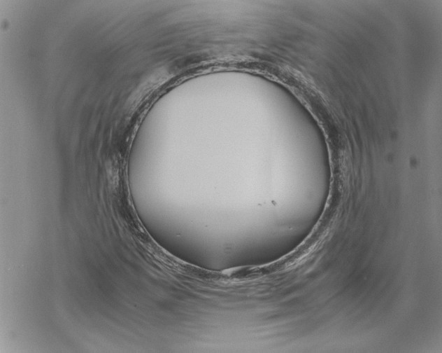 X0000069391257200606021623