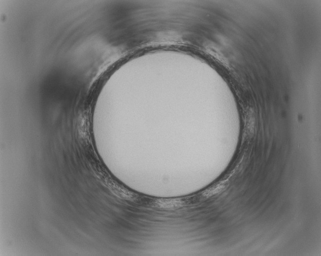 X0000069391258200606021623