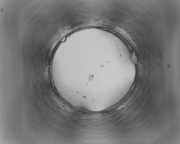 X0000069391260200606021623