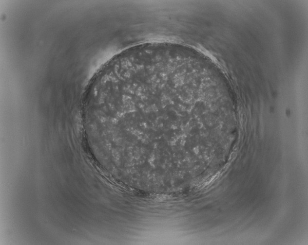 X0000069391263200606021623