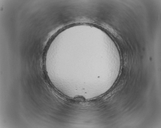 X0000069391264200606021623