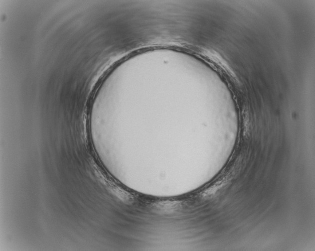 X0000069391268200606021623