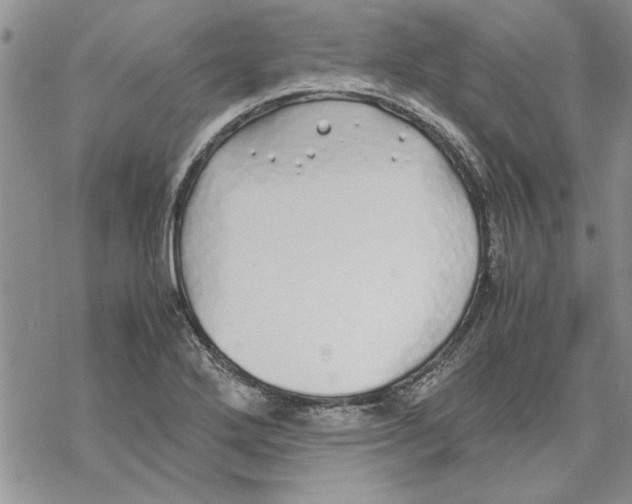 X0000069391272200606021623