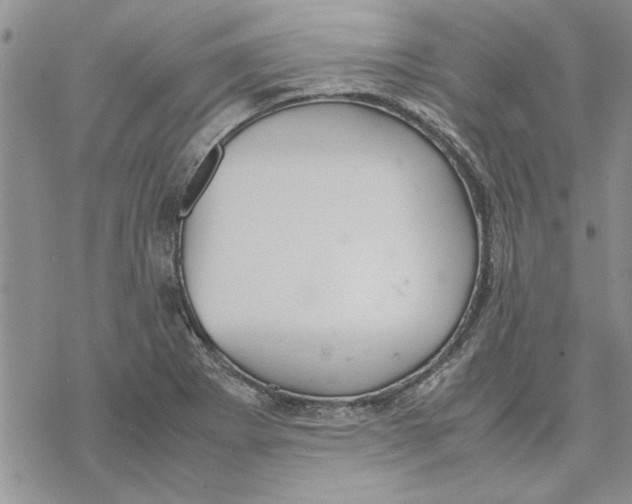 X0000069391273200606021623