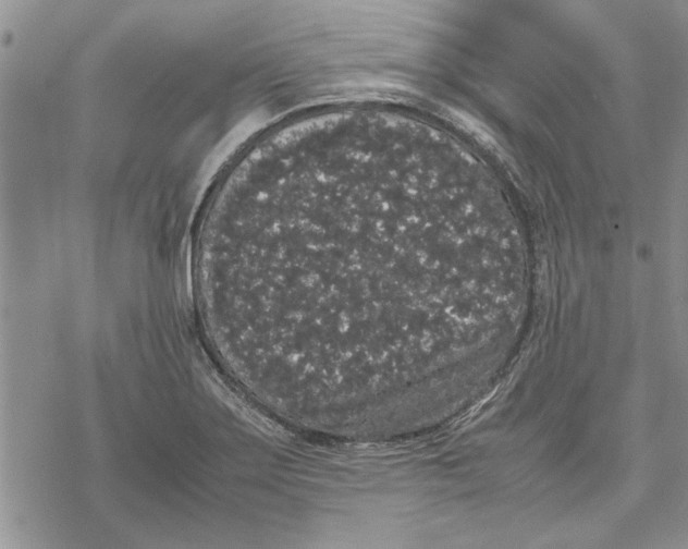 X0000069391275200606021623