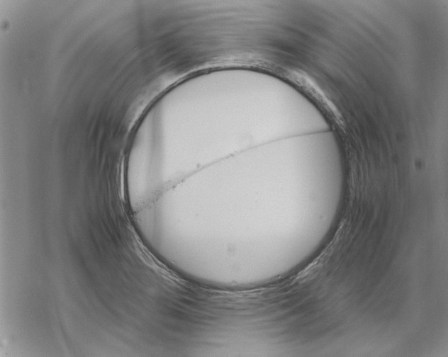 X0000069391276200606021623