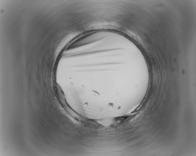 X0000069391277200606021623