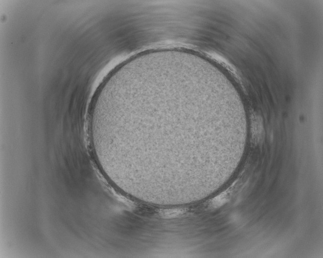 X0000069391278200606021623