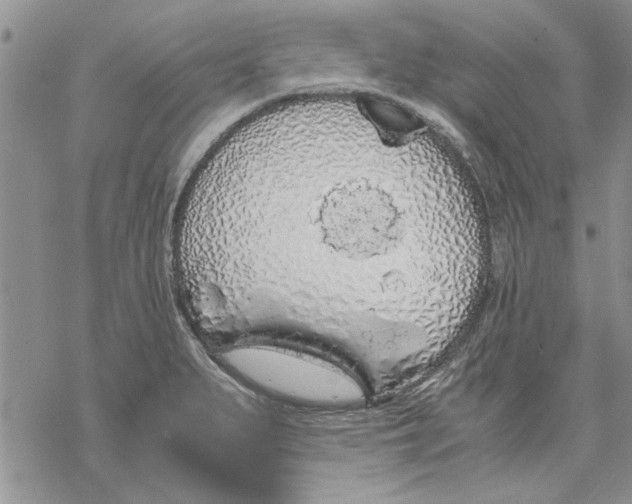 X0000069391279200606021623