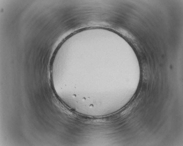 X0000069391280200606021622