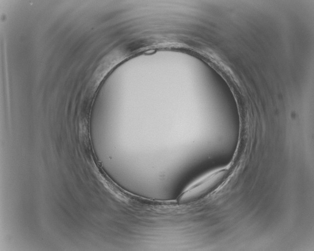 X0000069391281200606021622