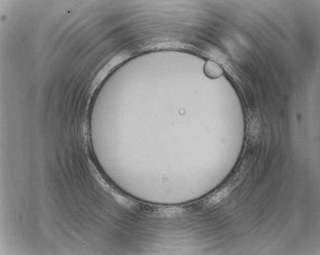 X0000069391282200606021622