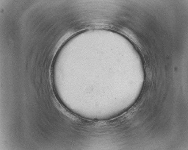 X0000069391283200606021622