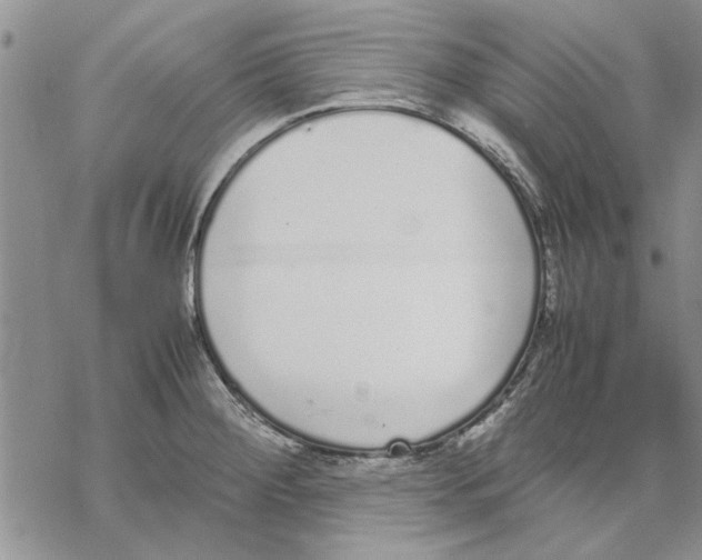 X0000069391284200606021622