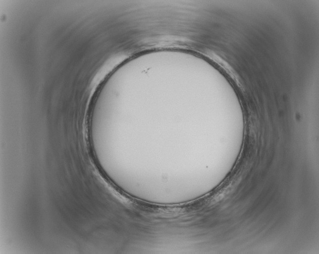 X0000069391285200606021622