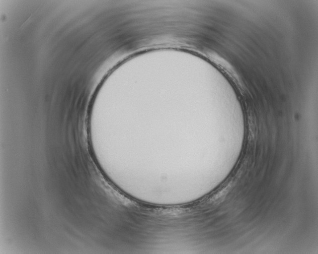 X0000069391288200606021622