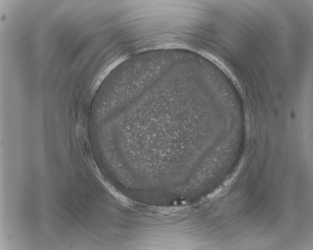 X0000069391289200606021622